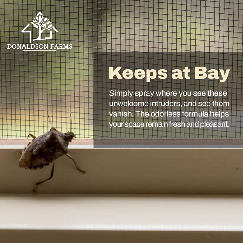 Stink Bug Killer, 16oz