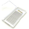 Volume Fans Long Stem Premade 3D Eyelashes Extensions 0.07 Thick