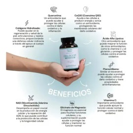 Antioxidante Para Vitalidad Con Nad Y Coq10, Vit C 60 Cap Hh Sabor Sin sabor                                                                          