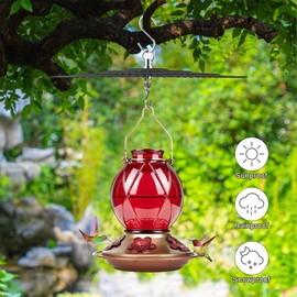 11.2" Metal Bird Feeder Rain Guard, Black Dome Shield Umbrella Cover for Hummingbird Feeder Oriole Feeder, Squirrel Baffles for Bird Feeders