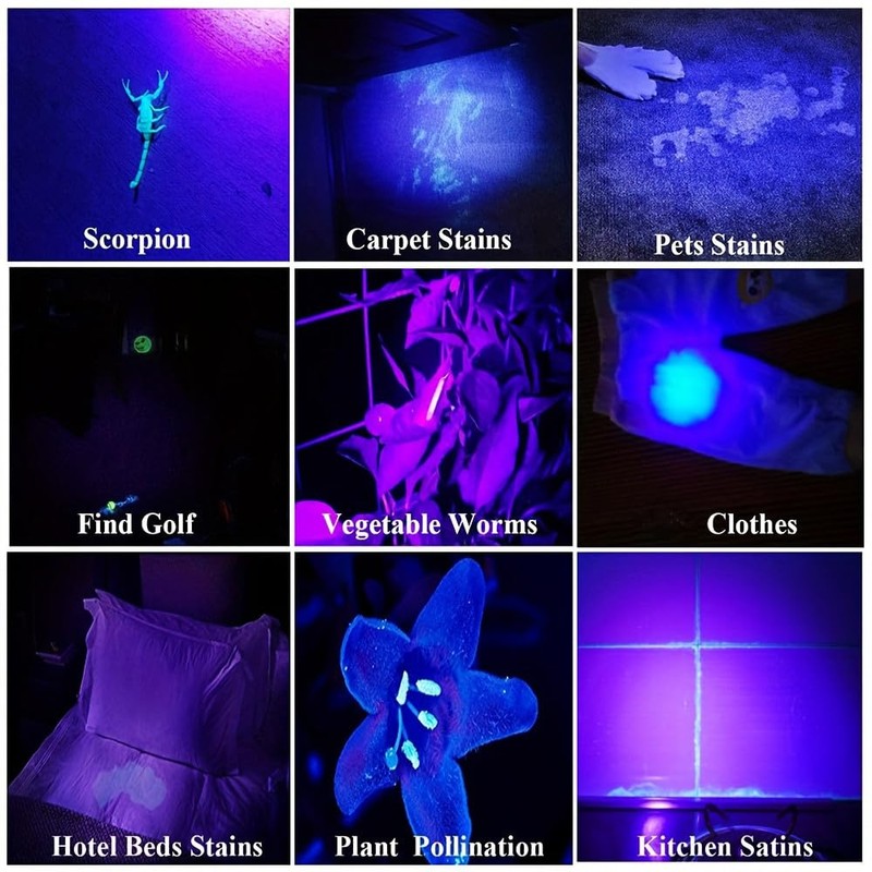 MVIOCS LED Flashlights, 4 Pack High Lumens Blacklight Red Light