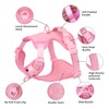 AIITLE Easy Walk Dog Harness, No Pull Pet Harness with