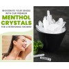 Nutrigins Menthol Crystal 2 oz - Pure Organic 100% Natural