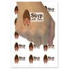 Sleep All Day Bat Hanging Funny Nap Time Temporary Tattoo