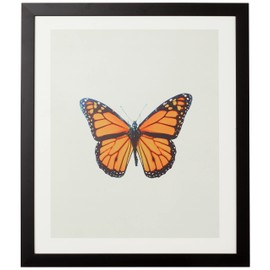 Deny Designs Chelsea Victoria Black Framed Wall Art, 19" x 22.4", The Queen Butterfly