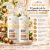 Kit de Shampoo y acondicionador Hidratación Intensiva