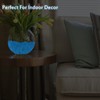 500pc Glow in The Dark Pebbles Outdoor Glow Stones for