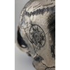 Veronese Design Bronze Finish Craniumography Old Treasure Map On Skull