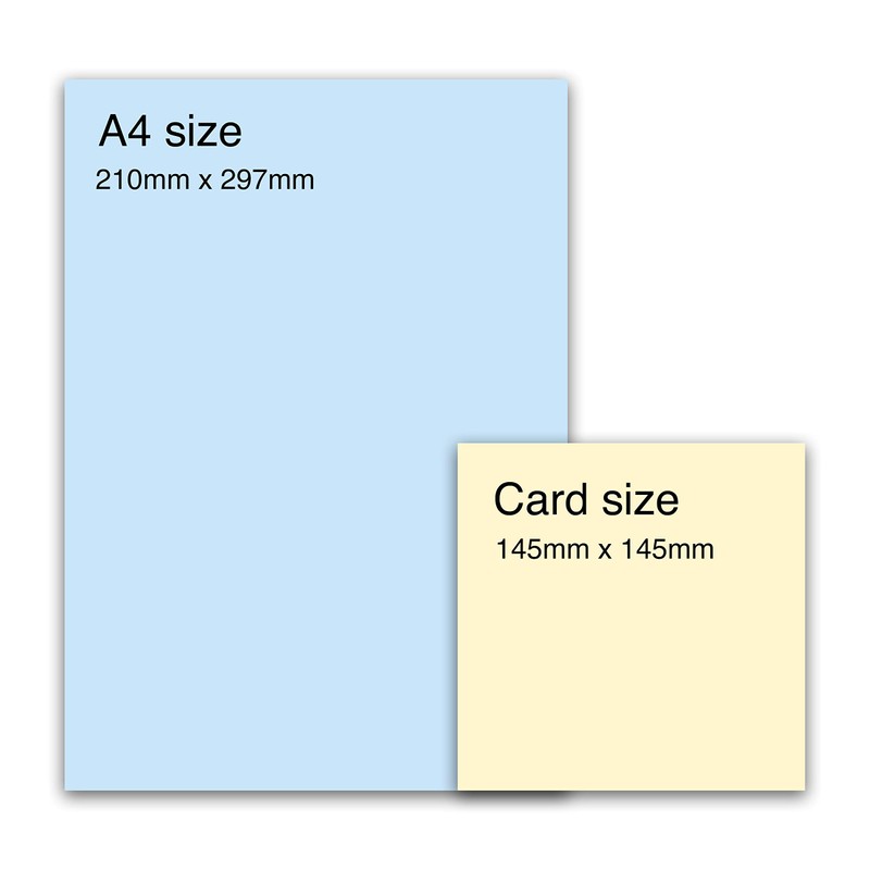 Central 23 Penguin Birthday Card - You Are My Penguin