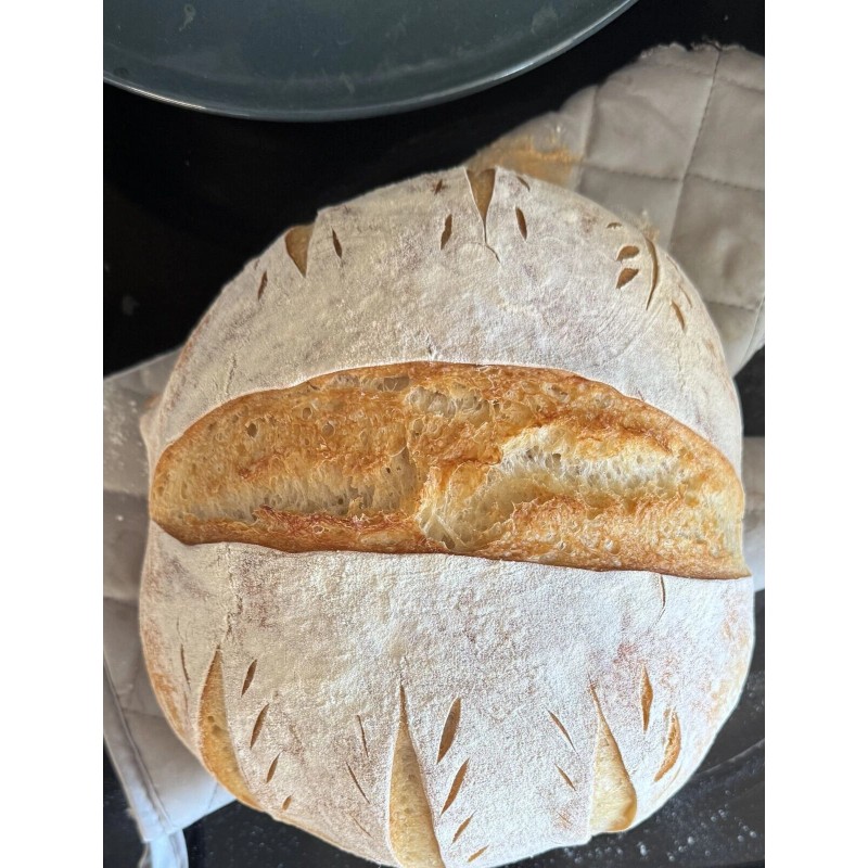 Great Grandmas EASY Sourdough Starter Heritage San Francisco - Live