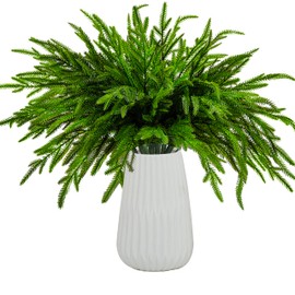 WKTRSM 12 Pcs Christmas Norfolk Pine Branches, Artificial Christmas Pine Branches Norfolk Pine Stems DIY Crafts Faux Christmas Greenery Stems for Xmas Indoor Outdoor Home Decor (18 Inches)