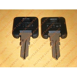 Global Link RVs Motorhome Trailer Keys Cut to Key/Lock Number G359 Keys for Global Link Lock Replacement Keys (2)