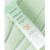 듀이트리 Dewytree Tone Up Shade Green Tone Up Sun 40ml