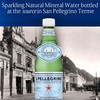 S.Pellegrino Sparkling Natural Mineral Water, Plastic Bottles, 16.9 Fl Oz