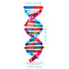 Toyvian DNA Models Double Helix Model Science Educational Teaching Instrument