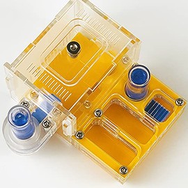 Dural Water Towel Ant Workshop Acrylic Nest Ants Farm House Activity Area Bag Mini New Ant Nest (Yellow)