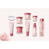 PAYOT ROSELIFT Lifting Infusion 125ml