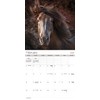 2025 Horses Wall Calendar