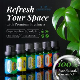 Labambi Valley 100% Pure Essential Oils for Diffusers, Home Care, Car, Hair & Massage, Candle Making Scents, Fragrance, Aromatherapy, Humidifiers, Gifts - 10 ml (0.33 oz) (10ml/(0.33 oz), Basil)