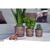 Flower Pot with Saucer Decoration Design 032 Rusty Bark Diameter
