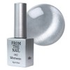 From the Nail MAGNET color gel nail, FG214, 10g, 1 piece / 프롬더네일 MAGNET 컬러 젤네일, FG214, 10g, 1개