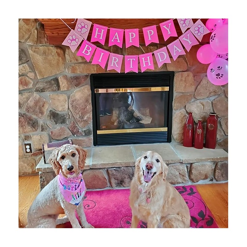 Suministros para Fiesta para Perro, Bandana de Cumpleaños para Perro,