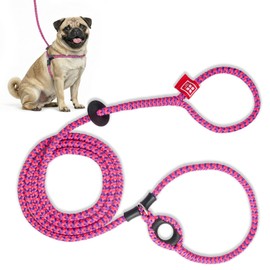 Harness Lead No Pull Dog Harness and Leash Set, Anti Pull Dog Harness, One-Piece Cushioned Rope Safely Prevents Escaping and Pulling (Small/Medium, Pink/Purple)