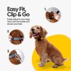 Dawn Dog Collar Small - Reflective, Soft & Padded Breathable