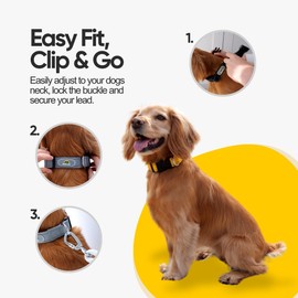 Dawn Dog Collar Small - Reflective, Soft & Padded Breathable Nylon Pet Collar - Adjustable Available in Grey, Black, Yellow, Pink - Heavy Duty & Secure