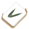 Desktop Plant Specimen Frame Wooden Acrylic Simple Modern Photo Frame