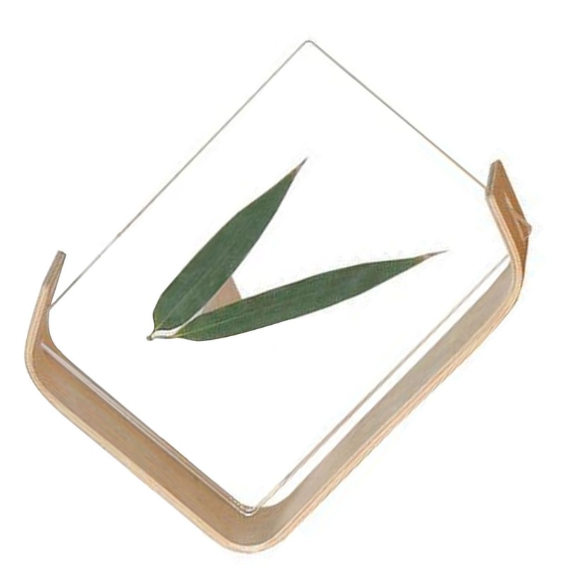 Desktop Plant Specimen Frame Wooden Acrylic Simple Modern Photo Frame