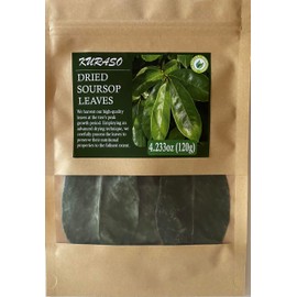 Premium Soursop Graviola Guanabana Dried Leaves for Tea, 120 gr 350-400 Soursop Leaves.