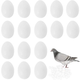 White Fake Eggs Solid Plastic Dummy Pigeon Eggs for Pigeons Bird DIY Easter Crafts (20 PCS)