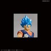 Figure-rise Standard, Dragon Ball Super Saiyan God Vegito, Color Coded
