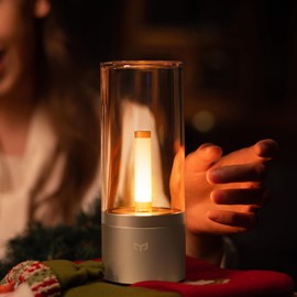 Rechargeable Battery Operated Bedside Lamp, Small Cordless Table Lamp, Dimmable LED Night Light for Bedroom, Living Room, Portable Modern Design with Candlelight for Nightstand, Restaurant, Home Decor