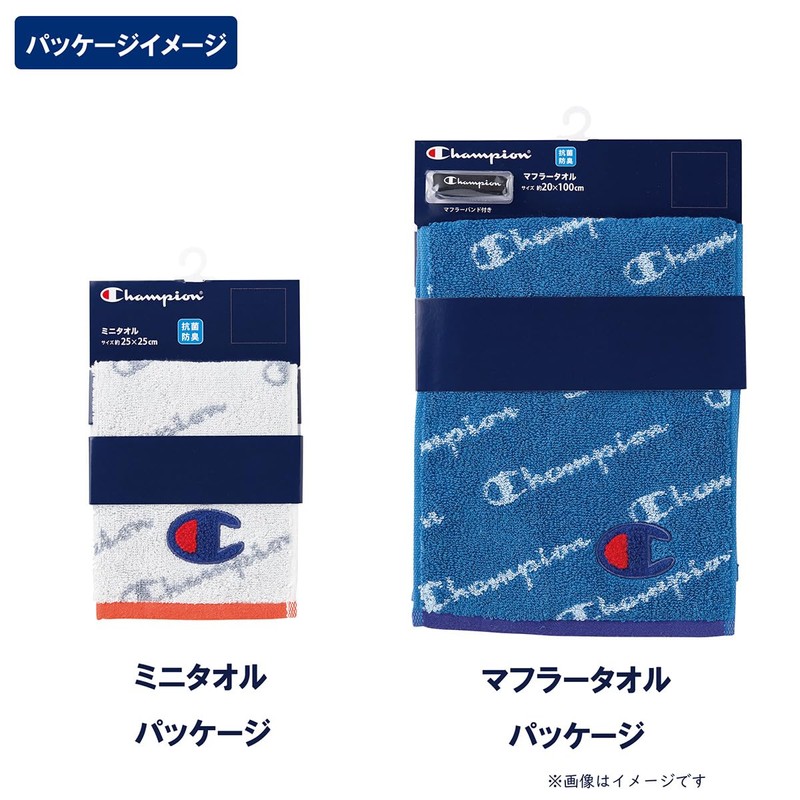 Champion 5065008700 Scarf Towel, Approx. 7.9 x 39.4 inches (20