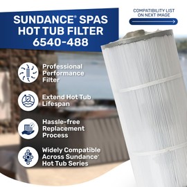 Sundance Spa Filter OEM 6540-488