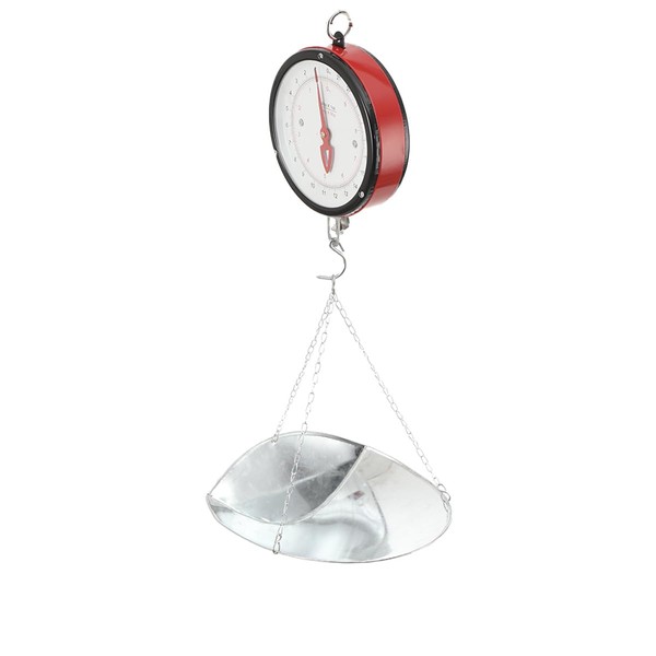 YILIKISS 10KG/ 22LBS Double-Sided Dial Mechanical Hanging Scale, Large Display