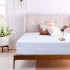 The Elysian Threads Mattress Protector Encasement Bedbug Cover Only Twin