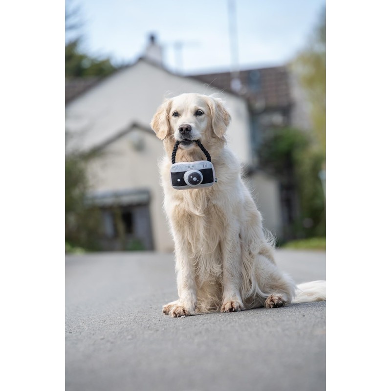 Petface Retro Camera Plush Dog Toy