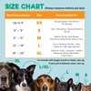 BENCMATE Protective Inflatable Collar for Dogs and Cats - Soft