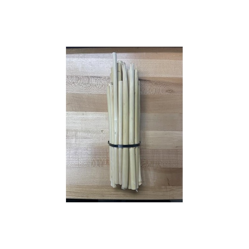 Broomcorn Stalks