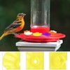 Hummingbird Feeders for Outdoors,30 Pcs Hummingbird Feeder,Hummingbird Feeder Replacement Parts,hummingbird