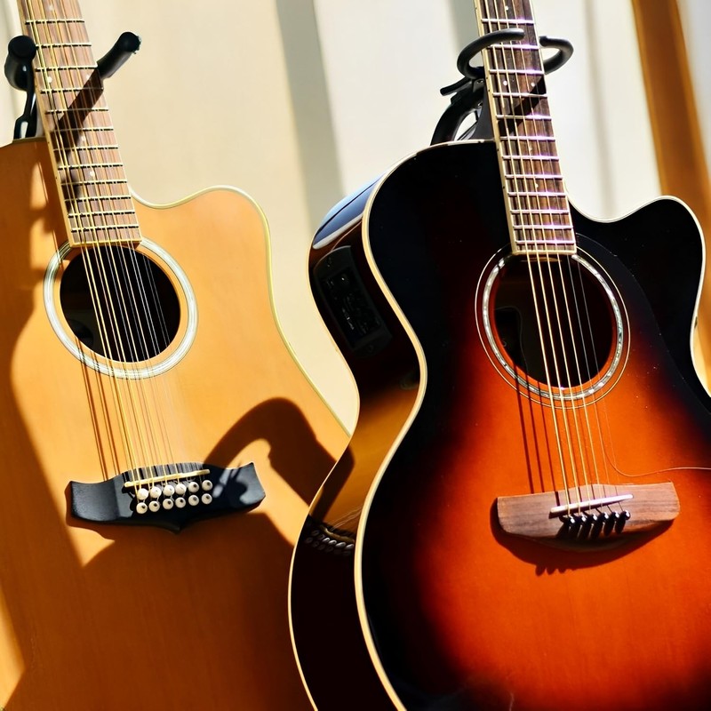 Acoustic Guitar Bridge Pins, Bridge Pins & Bridge Nuts Saddle
