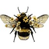 Doormat Non Slip Front Door Mat Bee Door Mat Rug