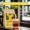FullChea - Dandelion Root Tea Bags, 40 Teabags, 2.5g/bag -