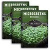 3 Packs Broccoli Microgreens Seeds for Planting and Growing -