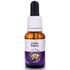 Living Essences Golden Waitsia 15ml