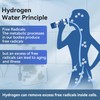 ICEPURE 3 in 1 Hydrogen Water Bottle, 3000ppb, 9.5oz|280ml, SPE
