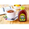 Aunt Sue Raw & Unfiltered USA Clover Honey From Local